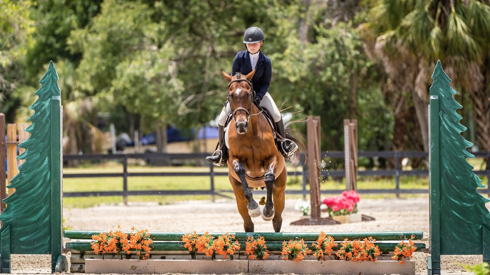 Equestrian rider jumping a horse over an arena obstacle