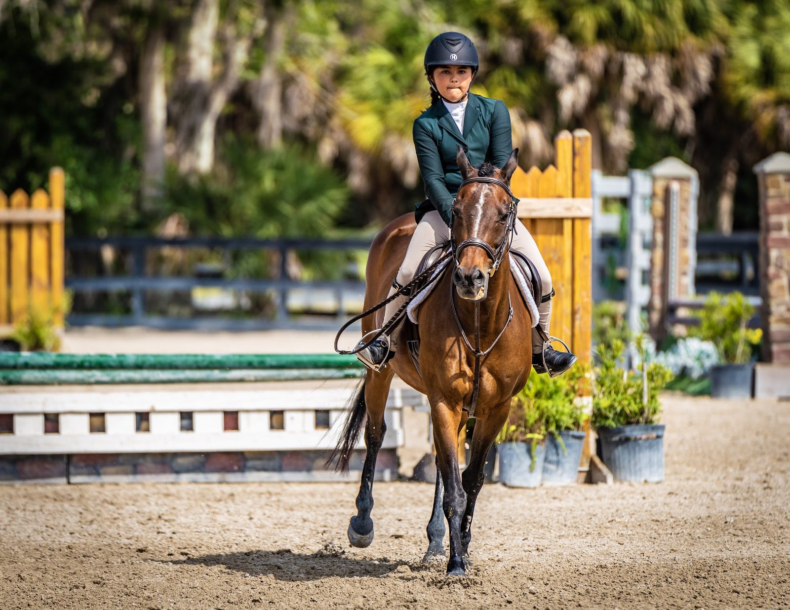 Equestrian rider on horseback in a competition arena