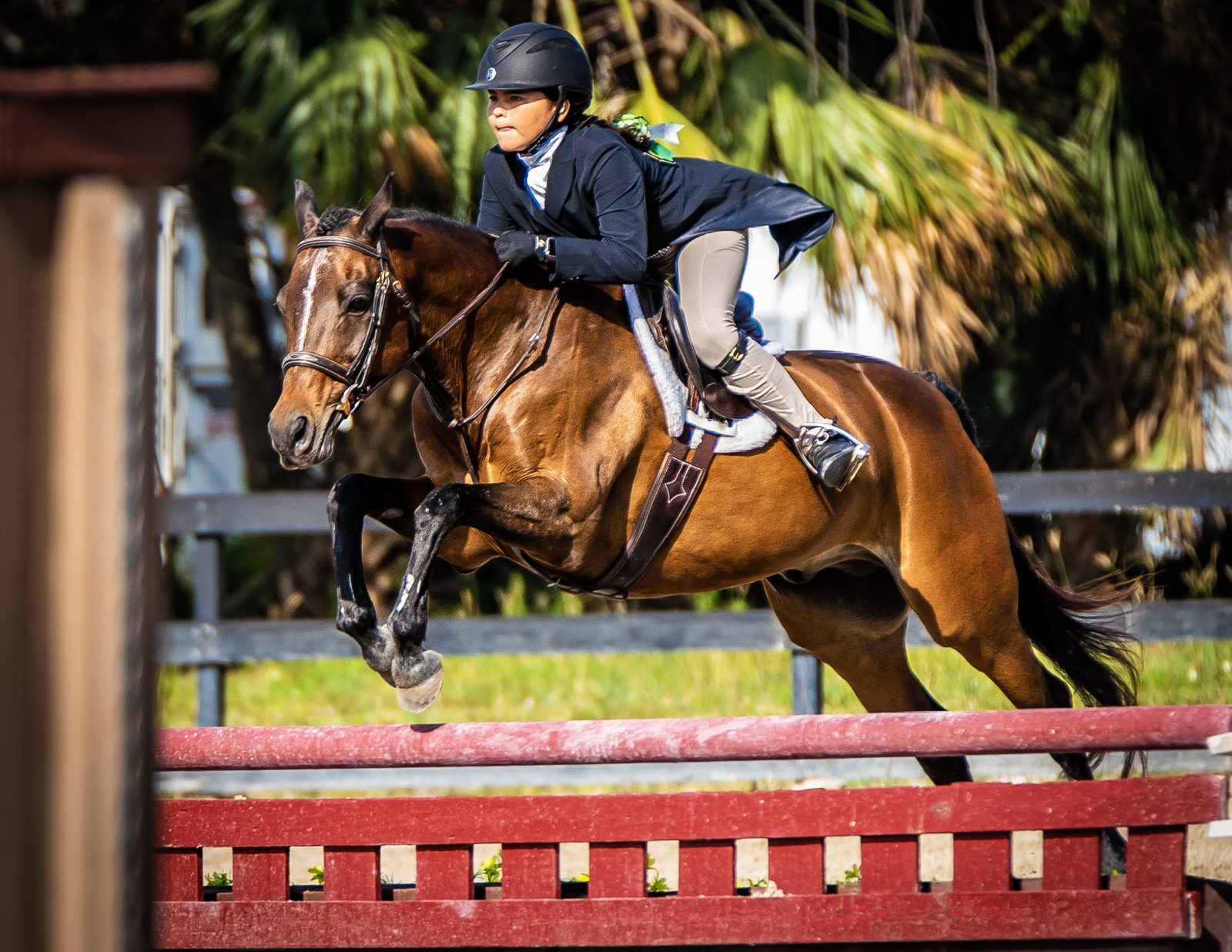 Equestrian rider jumping a horse over a red obstacle