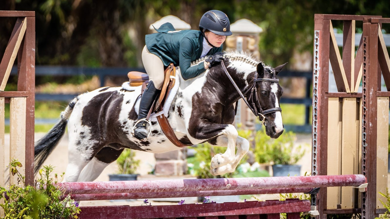 Equestrian rider jumping a horse over an obstacle