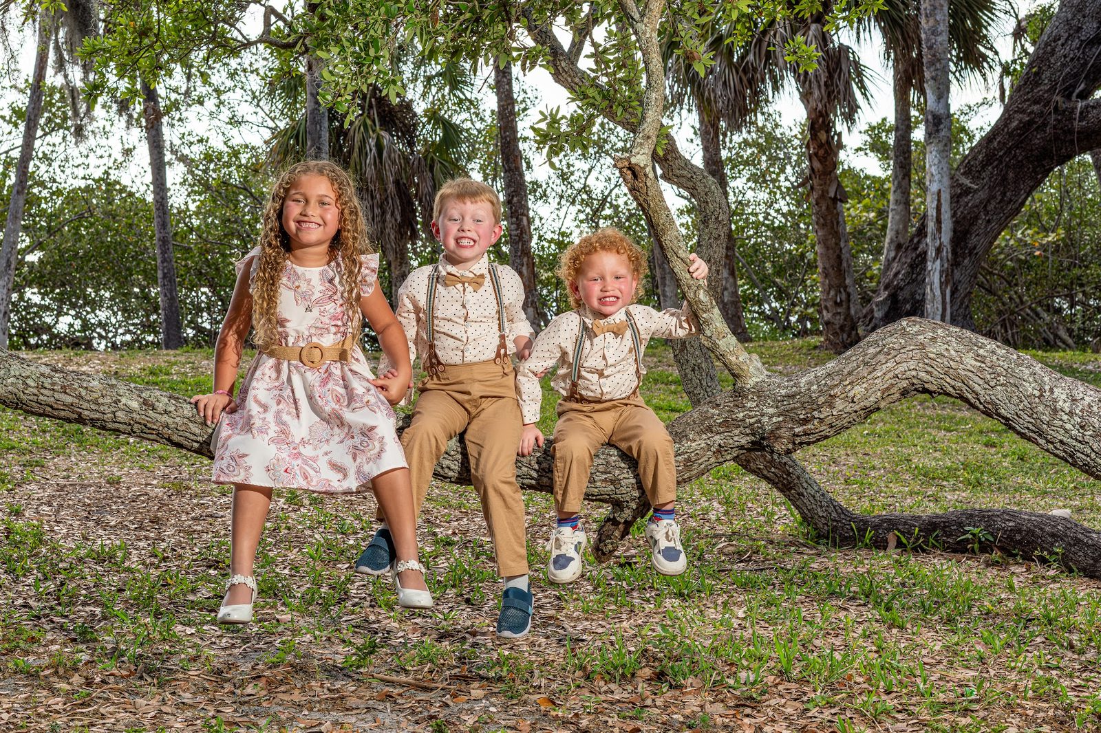 Three children sitting on a tree branch in a park