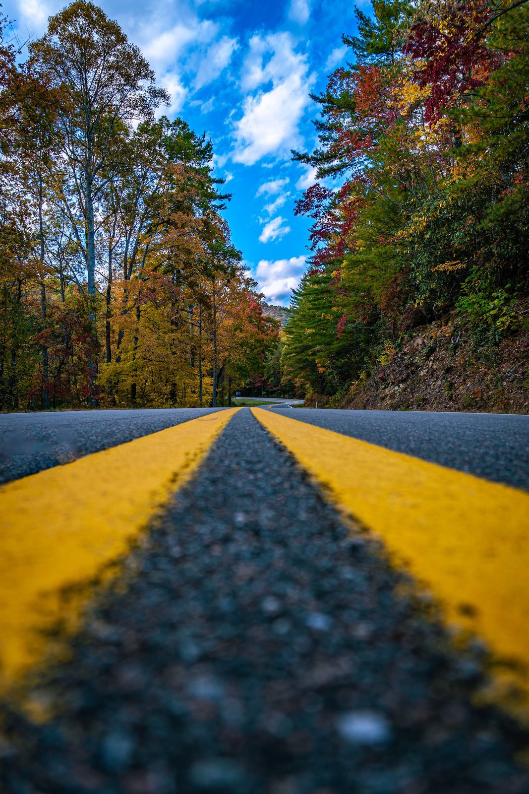 Autumn road through forest with yellow lines and blue sky