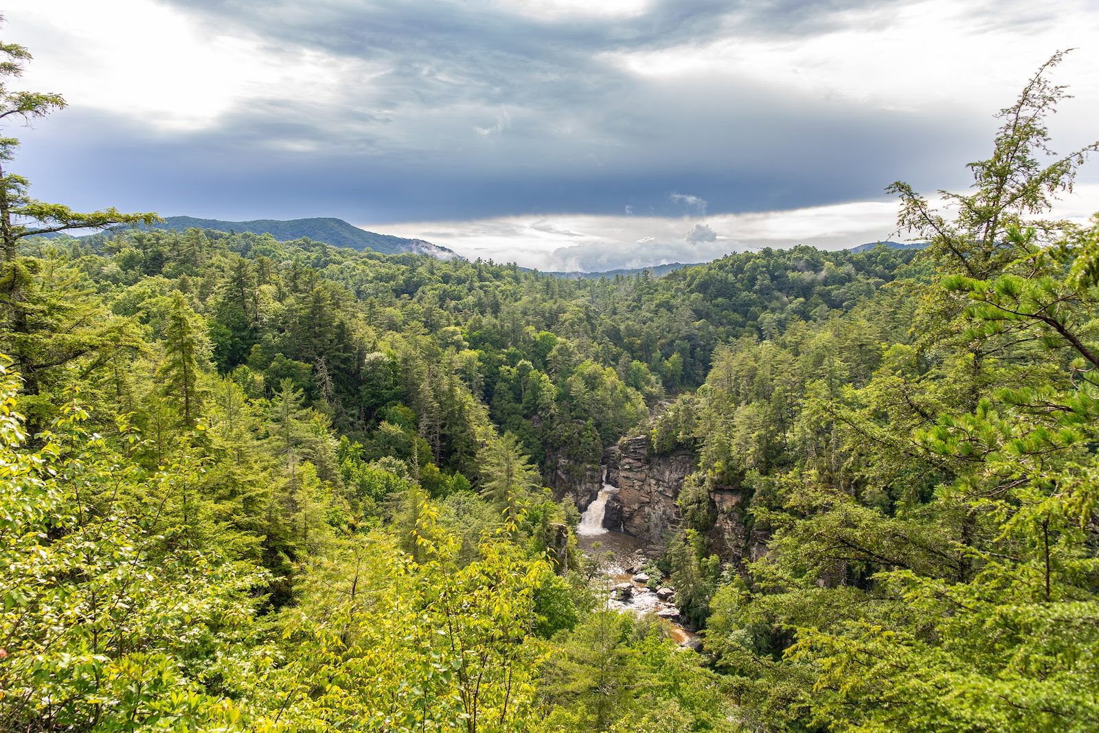 Lush forest with waterfall and mountains under cloudy sky